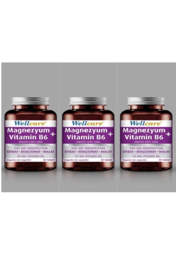 Wellcare Magnezyum + Vitamin B6 30 Tablet 3 Kutu ürün görseli 1