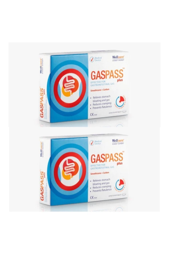 Wellcare Gaspass Plus 20 Tablet 2 Kutu ürün görseli 1