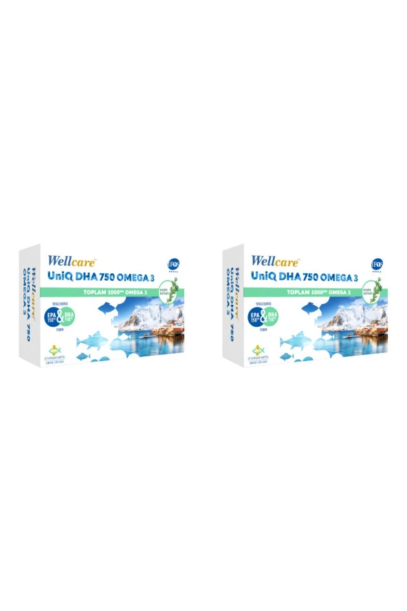 Wellcare Uniq 750 Omega 3 30 Kapsül 2 Kutu ürün görseli 1