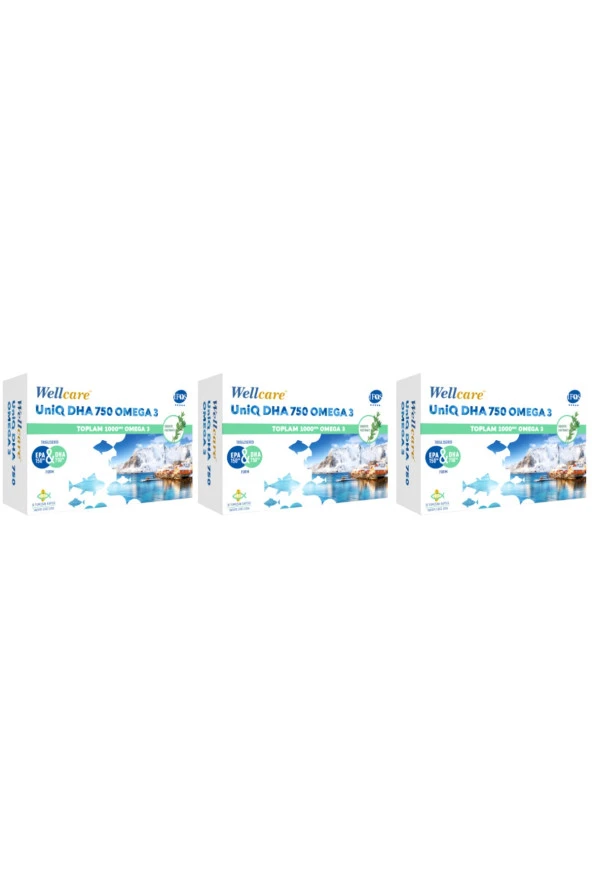 Wellcare Uniq 750 Omega 3 30 Kapsül 3 Kutu ürün görseli 1