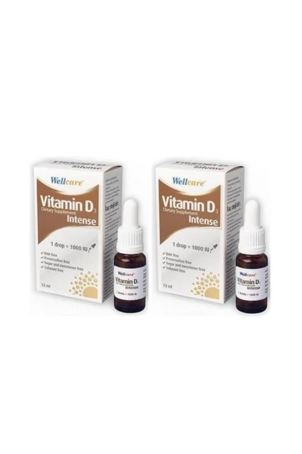 Wellcare Vitamin D3 Intense 1000 IU 12 ml 2 Kutu ürün görseli 1