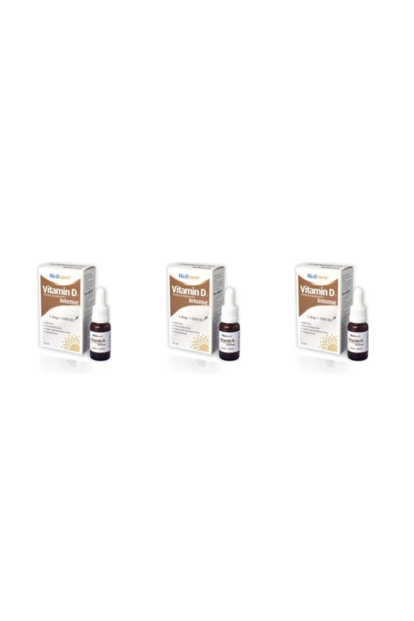 Wellcare Vitamin D3 Intense 1000 IU 12 ml 3 Kutu ürün görseli 1