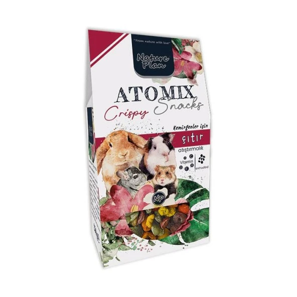 Nature Plan Atomix Snacks Extrude 250 gr ürün görseli 1
