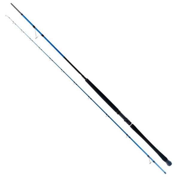 Ryuji Shore Game Fuji 285cm 25-85gr 2 Parça Shore Jig Kamış ürün görseli 1
