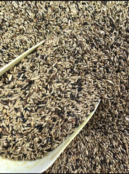 5 KG Karışık KANARYA YEMİ ürün görseli 1