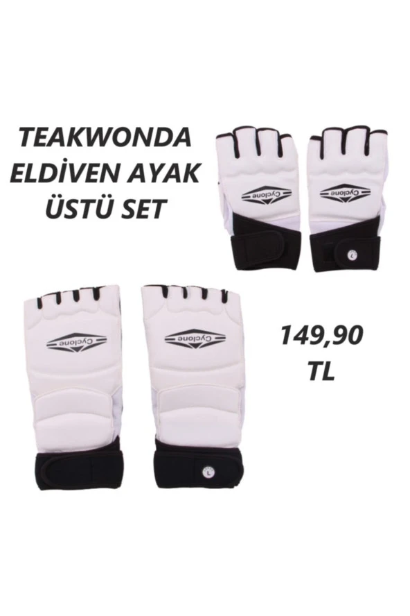 Teakwondo Eldiven & Aya Üstü Set ürün görseli 1
