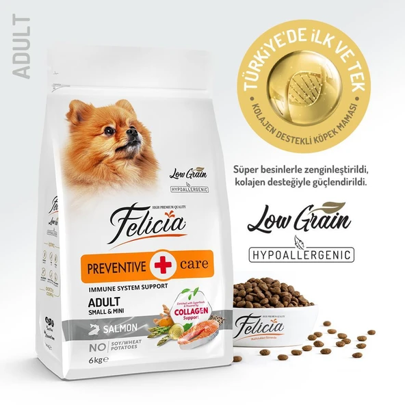 Felicia® Preventive Care Somonlu Küçük Irk Yetişkin Köpek Maması 6 Kg ürün görseli 1