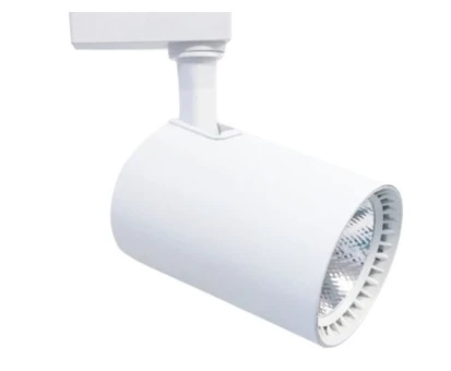 CATA CT 5333 Ledli Ray Spot 30W Beyaz Kasa 3200K Gün Işığı ürün görseli 1