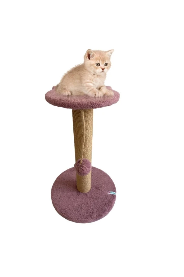 Stepli Kedi Tırmalama Tahtası Gül Kurusu ürün görseli 1
