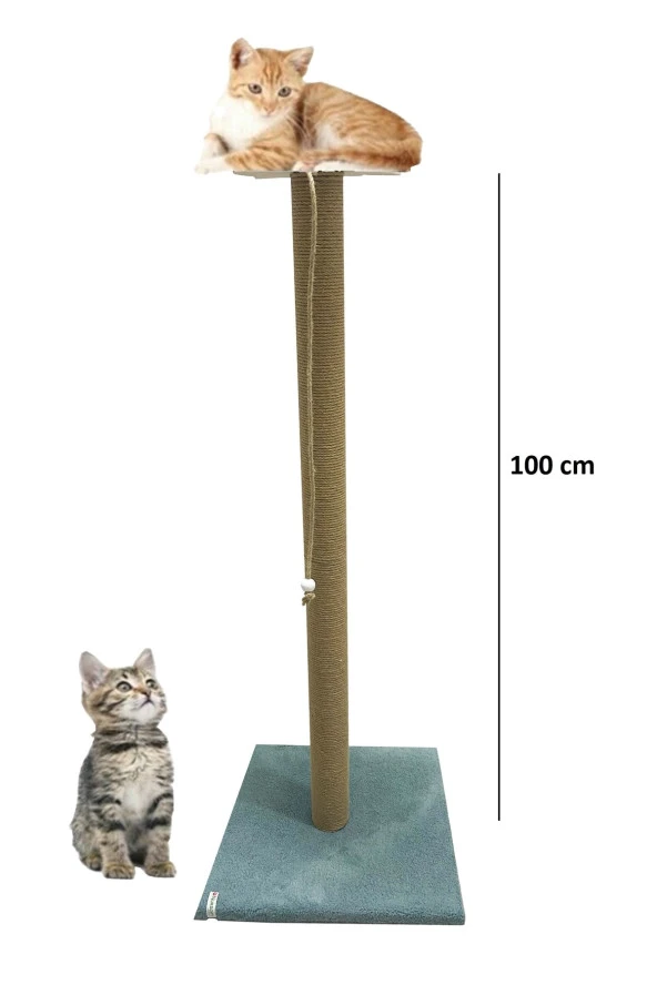 Büyük Kedi Tırmalama Tahtası 100 Cm Turkuaz ürün görseli 1
