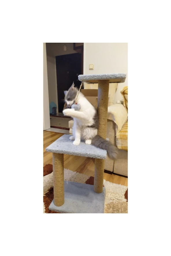 Mega Boy Step Kedi Tırmalama Tahtası - Gri ürün görseli 1