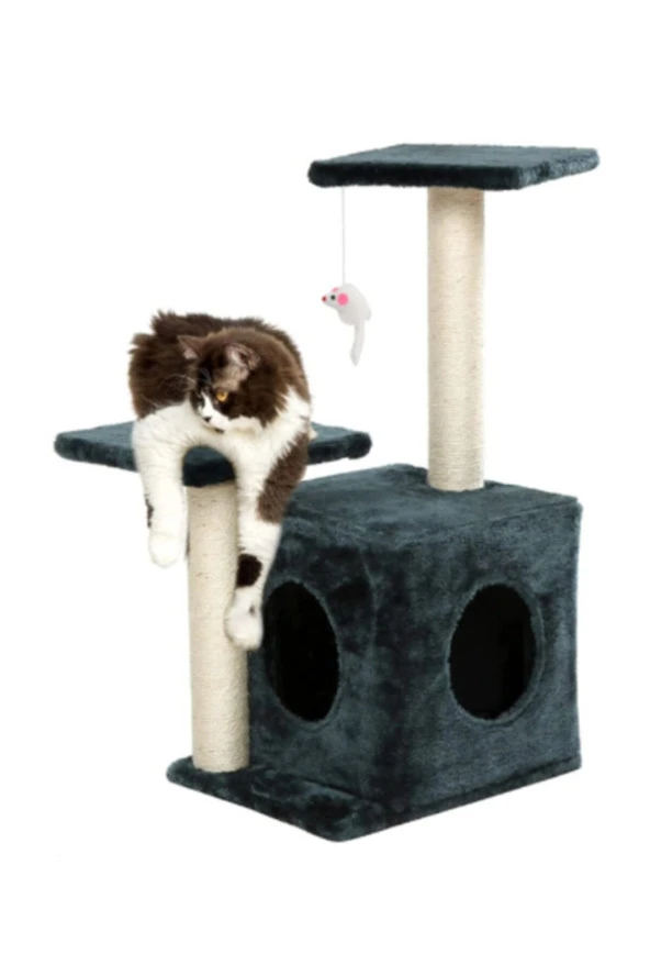 Çift Stepli Yuvalı Kedi Tırmalaması Antrasit ürün görseli 1