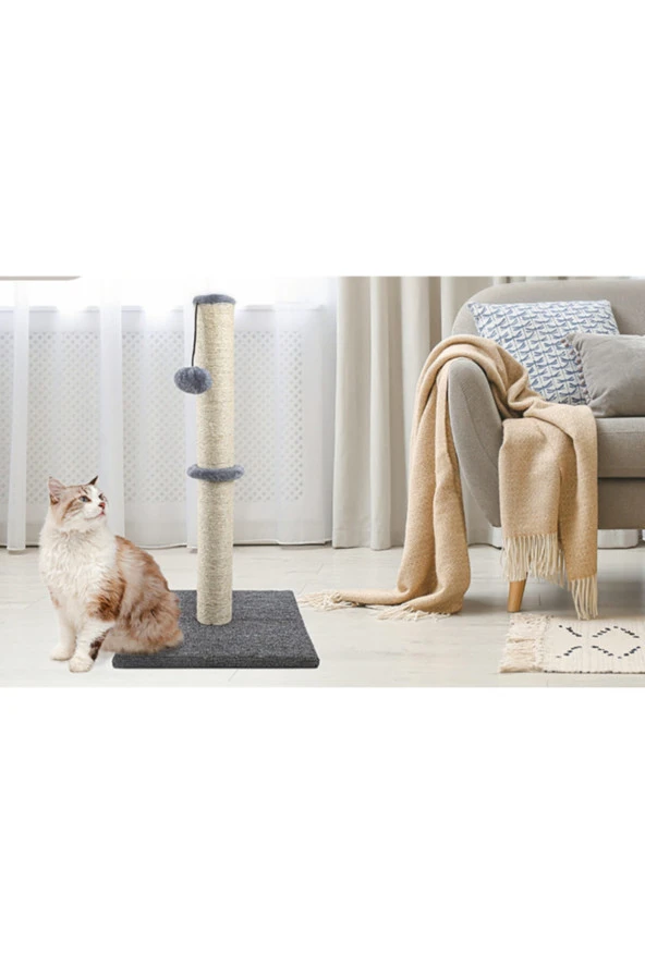 Xl Kedi Tırmalama ürün görseli 1