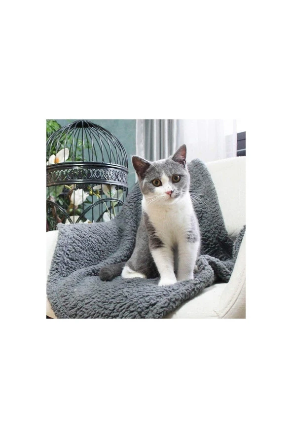 Peluş Kedi Battaniyesi 60x80 Cm ürün görseli 1