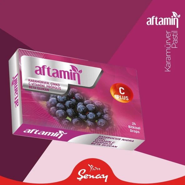 Aftamin Kara Mürver Pastil - 24 Adet ürün görseli 1