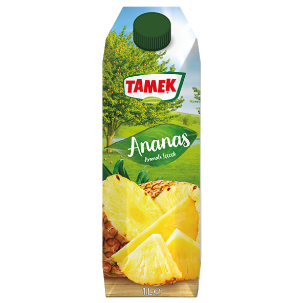 TAMEK ANANAS SUYU 1 LT ürün görseli 1