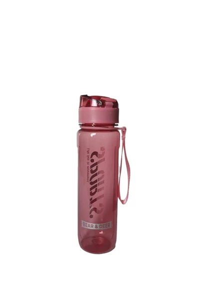 OTOMATİK KAPAK MATARA 650 ML - Resim 2