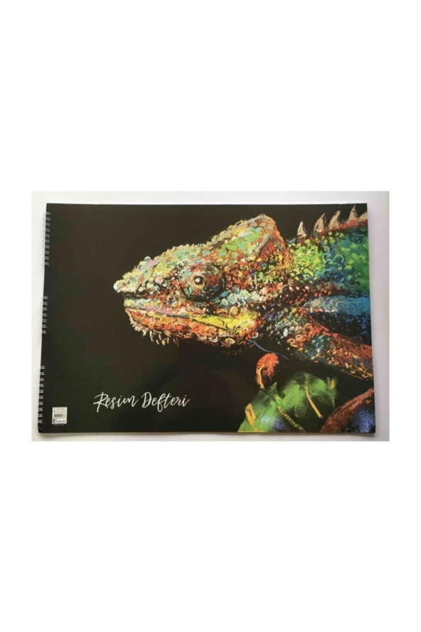 15 Yaprak 35x50 Spiralli Resim Defteri ürün görseli 1