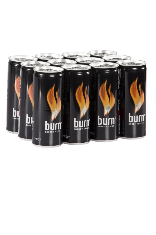 Burn Enerji İçeceği 250 ml 12li ürün görseli 1