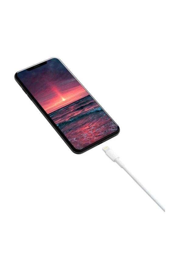Inovaxis Apple Iphone, Ipad Lightning Şarj Data Kablosu 1 M - Resim 2