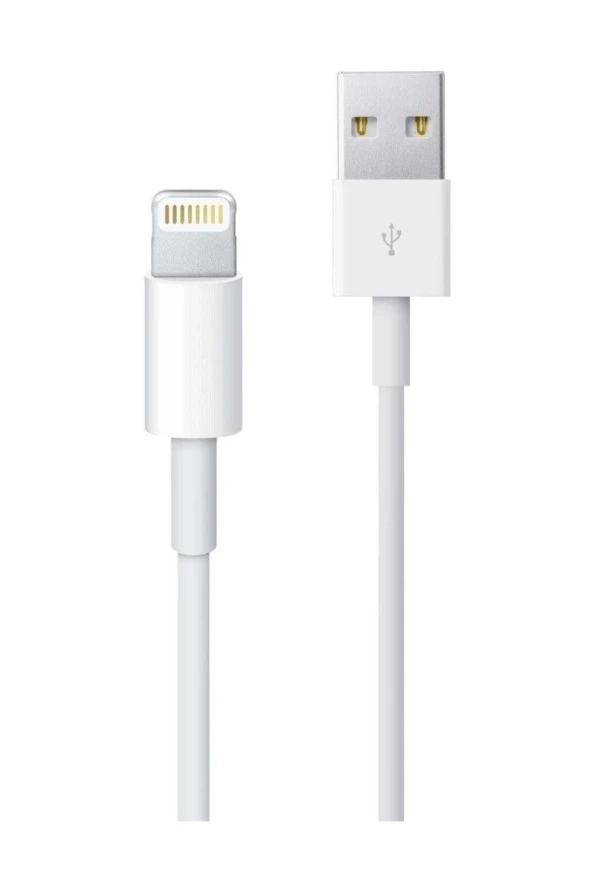 Inovaxis Apple Iphone, Ipad Lightning Şarj Data Kablosu 1 M - Resim 3