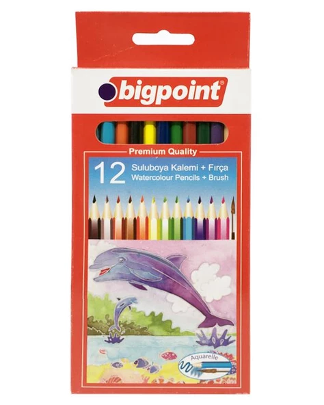 Bigpoint 12li Sulu Boya Kalemi (Fırça Hediyeli) ürün görseli 1