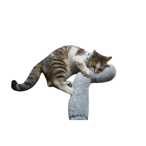 KEDİ OYUNCAĞI SARILMA YASTIĞI UYKU OYUNCAĞI KEDİ OTLU 30 CM PELUŞ  ( 1 ADET ) GRİ ürün görseli 1