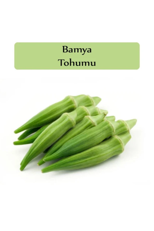 30 Adet Tohum Organik Adana Bamya Tohumu Organik Saksılık Bahçe Bamya Hobi Ekim Bamya Tipi Hediyeli ürün görseli 1