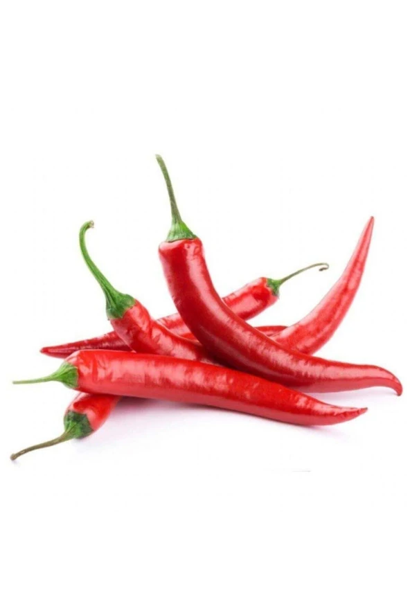 150 Adet Meksika Biberi Tohum Zehir Acı Meksika Biberi Tohumu Jalapeno Jalepeno Biber Tohumu Hediye ürün görseli 1