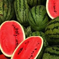 250 Adet Tohum Adana Karpuzu Tohumu Meşhur Adana Karpuzu Tohumu Sürpriz Hediye Tohum ürün görseli 1