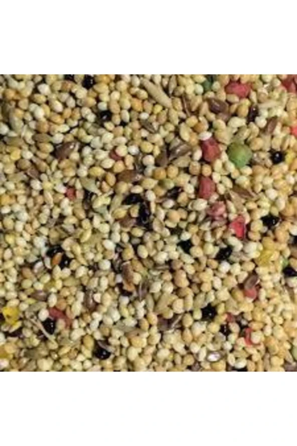 500gr Üçlü Karışım Kuş Yemi Her Kuş Için Özel Üretilmiştir Kuş Yemi Kanarya Hint Bülbülü Ödüllü Kuş ürün görseli 1