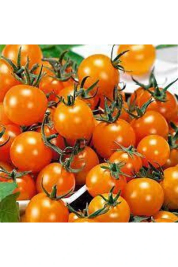 20 Adet Tohum Tropikal Nadir Turuncu Çeri Cherry Domates Tohumu Saksı Toprak Sürpriz Hediye Tohum ürün görseli 1