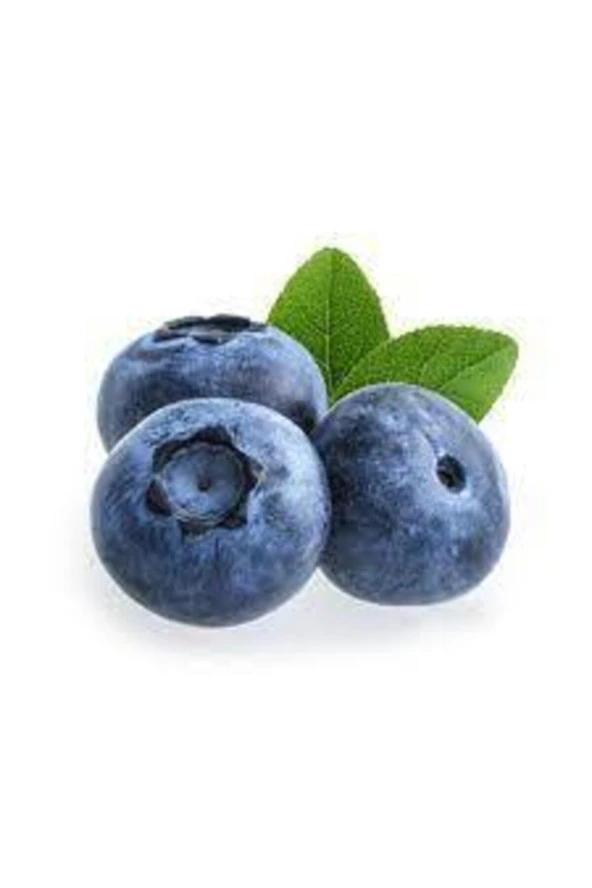 10 Adet Tohum Cranberry Tohumu Yaban Mersini Tohumu Turna Yemişi Tohumu Sürpriz Hediye Tohum ürün görseli 1