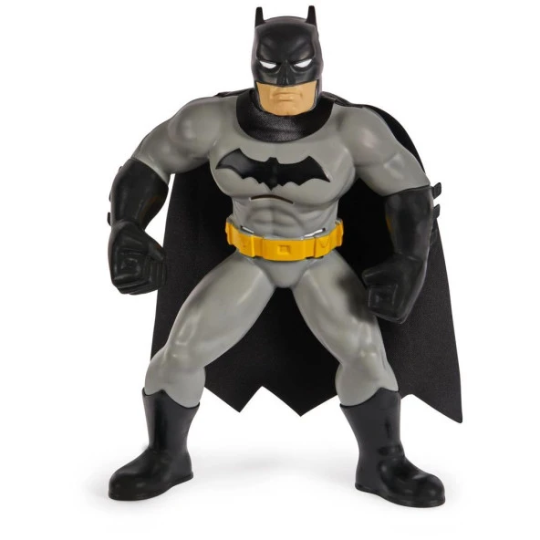 Spin Master Batman Yüzme Arkadaşları  6067008  20142128 ürün görseli 1