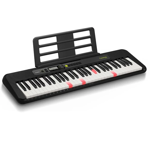 Casio LK-S250 Işıklı 61 Hassasiyetli Tuşlu-5 Oktav Org (Adaptör Hediyeli) ürün görseli 1