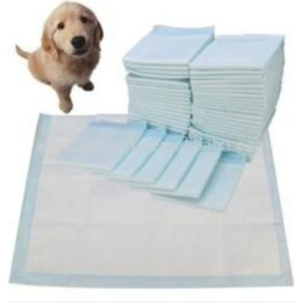 Flexilife Kedi Köpek Çiş Pedi Yatak Koruyucu 60x90 30lu 2 paket / 60 adet ürün görseli 1