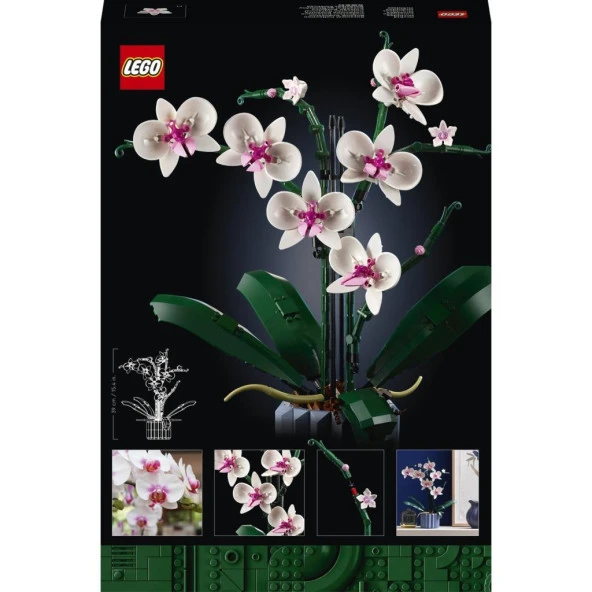 LEGO  Orkide 10311 (608 Parça) - Resim 4