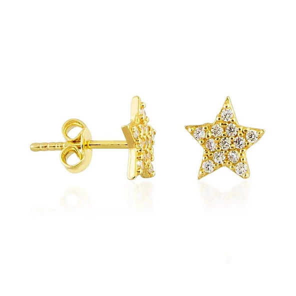 Yıldız Altın Çivi Küpe 14K Gold Taşlı ürün görseli 1
