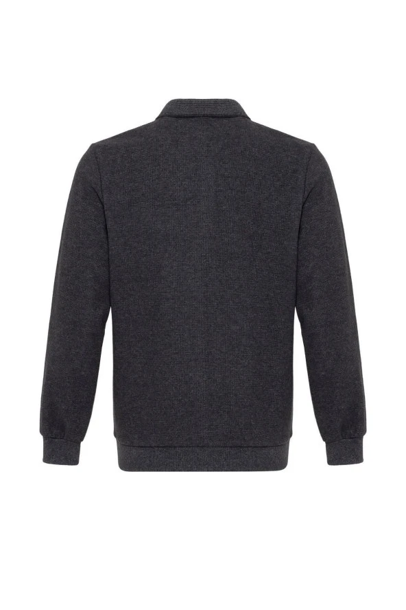 Polo Yaka Regular Kalıp Düz Triko - Resim 3
