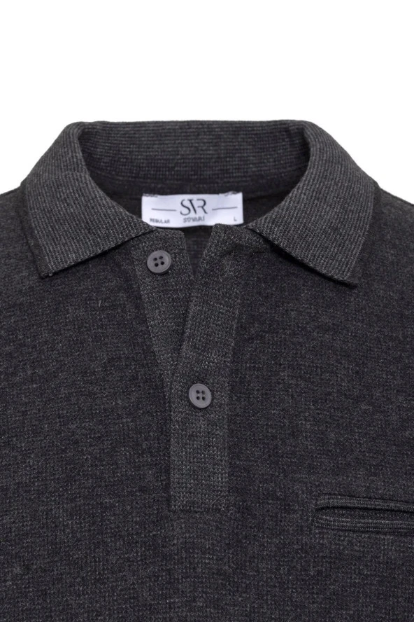 Polo Yaka Regular Kalıp Düz Triko - Resim 2