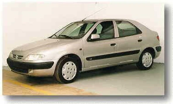 Coil-Ex Citroen Xsara 1996 Sonrası Spor Yay 45 Mm ürün görseli 1