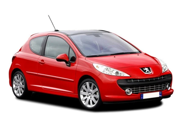 Coil-Ex Peugeot 207 04.2006- Sonrası Spor Yay 45 / 45 Mm ürün görseli 1