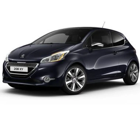 Coil-Ex Peugeot 208 2011 Sonrası Spor Yay 45 / 45 Mm ürün görseli 1