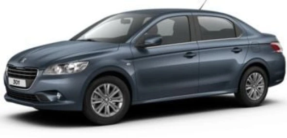 Coil-Ex Peugeot 301 2013 Sonrası Spor Yay 40 / 40 Mm ürün görseli 1