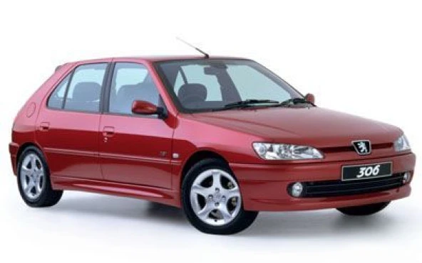 Coil-Ex Peugeot 306 1993 / 2003 Arası Spor Yay 45 Mm ürün görseli 1