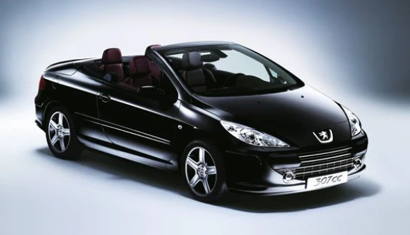 Coil-Ex Peugeot 307 03.2001- Sonrası Spor Yay 45 / 45 Mm ürün görseli 1