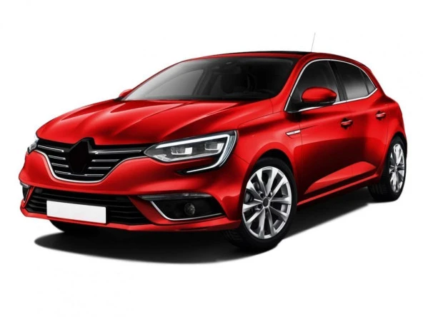 Coil-Ex Renault Megane 4 2016 Sonrası Spor Yay 40 / 40 Mm ürün görseli 1