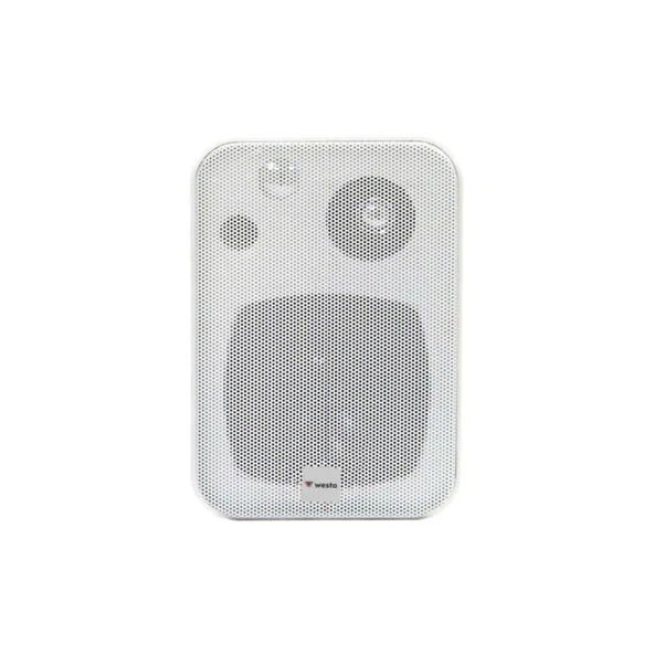 Westa Wm-305TW Duvar Tipi Hoparlör Hat Trafolu 100 Watt ürün görseli 1