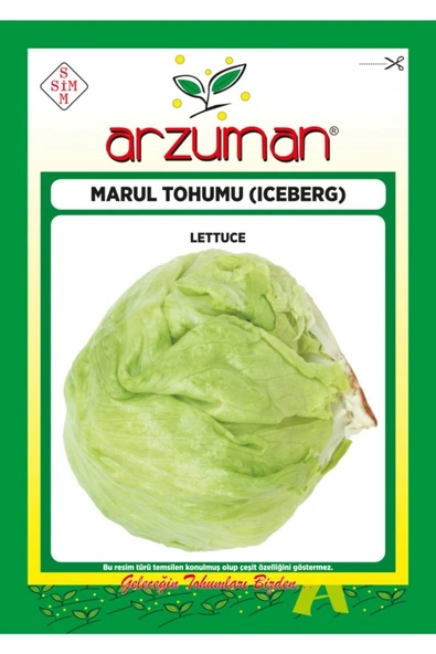 ARZUMAN İCEBERG KIVIRCIK MARUL 1000 ADET ürün görseli 1