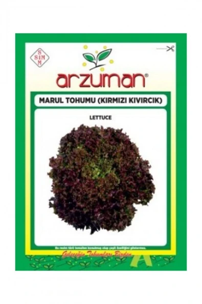 ARZUMAN KIRMIZI KIVIRCIK MARUL 1000 ADET ürün görseli 1